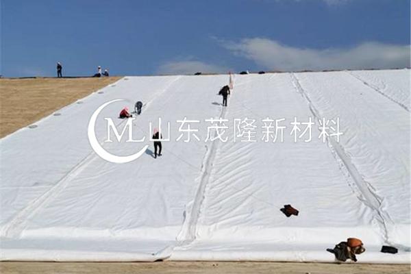 《引江濟(jì)淮工程（安徽段）引江濟(jì)巢段菜巢線施工C001 標(biāo)工程項(xiàng)目》土工布施工